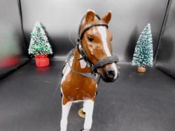 horse paint saddle a
